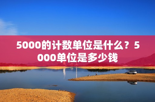 5000的计数单位是什么？5000单位是多少钱