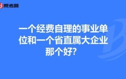 全额事业单位可以办企业吗？公益一类事业单位能否投资公司