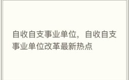 自收自支事业编制按照公务员编制发放工资待遇是不是违规操作？（自收自支事业单位发放福利违规）