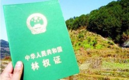 自留山证为什么没有发到村民手里？山林权证发放单位