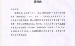 抽调被退回原单位是什么后果？（抽调还会回原单位吗）