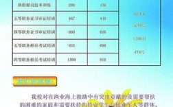 公司可以给个人开技术培训费吗？可开具培训费单位