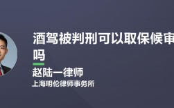 公职人员酒驾被取保候审会怎么样？事业单位领导酒驾惩罚