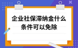 社保滞纳金怎么处理？（单位社保缴费月报）