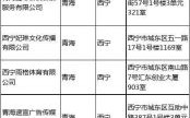 青海省投资集团公司旗下子公司有哪些？（青海省机构改革哪些单位整合合并）