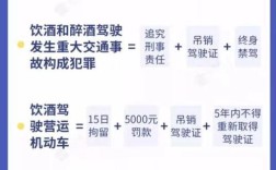 2016年醉驾怎么处理？（2016年 事业单位人员酒驾）