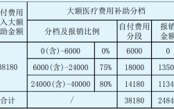 教师大额医疗保险指的是什么？医疗大额是个人还是单位