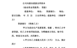 股东借给公司款如何处理？（单位股东集资款开收据还是借据）