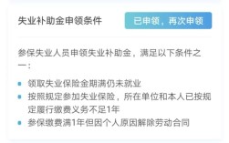 明明已经辞职为何失业保险显示一直在就业？离职单位仍然给交保险