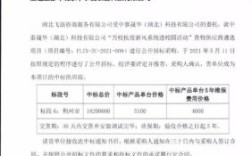 项目中标以后可以更换公司吗？由于中标单位原因需更换新单位