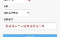 医保登录单位账号是什么？医保卡号查单位