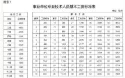 陕西省事业单位中人补发工资标准？（2016年加工资事业单位）