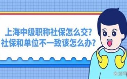 个人交社保跟个人学历和职称有关系吗？单位买社保需要学历吗