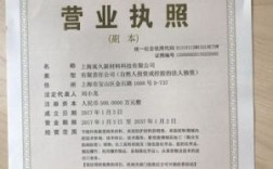 营业执照上的企业类型写的是，有限责任公司（自然人独资），这个公司的企业性质是什么啊？（单位属性指什么）