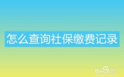 单位缴纳的社保自己可以上网查询吗？如何看单位是否给你交了社保