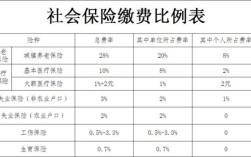 社保的大额和护理是什么？（社保大额个人承担还是单位承担）