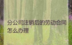 公司注销后怎么查询劳动合同？单位注销了劳动关系