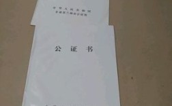 公证处公证为什么还去单位调档案？（单位为什么需要调档案）