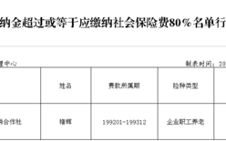 一次补缴5年要补多少滞纳金？（社保单位加征是什么意思）