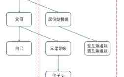 舅舅是直系还是旁系？（舅舅用这个为一单位）