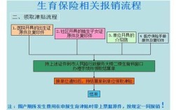 德州生育险个人可以去报销吗？（德州事业单位无生育险如何报销）