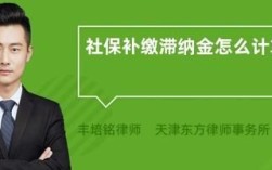 社保滞纳金该由谁来交？单位补缴的滞纳金该由谁出