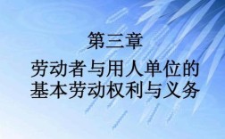 劳动法与用人单位权利义务关系？（劳动法中用人单位）