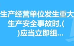 生产经营单位发生生产安全事故造成人员伤亡、他人财产损失的，应当依法承担哪些责任？（重大交通事故追责单位）