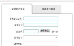 社保网上登录的原始口令是什么？（北京社保单位登录口令）