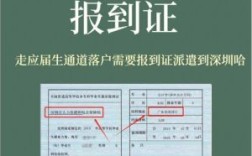 单位报到时都干什么？单位要报到证干嘛