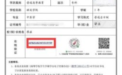 大学生学信网中的报告编号是什么？（学校单位注册代码是什么样的）