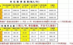 年报公示中社保职工人数，单位缴费基数怎么填写？（2个单位10名个人都有谁）