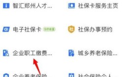 支付宝怎么查询社保单位缴费记录？（社保怎么查单位缴费记录）