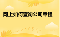 全程电子化上怎么查章程？如何查单位章程