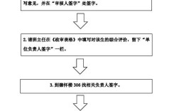 城投公司政审流程？政审是由用人单位来吗