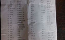 佳能入职体检有哪些项目？（中山市 事业单位 乙肝）