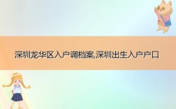 什么样的公司可以接收户口和档案？（深圳解决户口的单位）