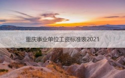 2021重庆事业单位改革？（重庆市事业单位工资改革）