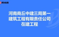 中建三局，是什么单位？建设单位为第一责任单位