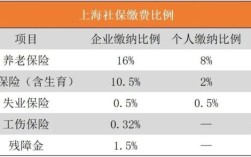 想问一下，上海哪家公司可以代交社保？上海还有交三险一金的单位吗