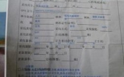 采伐证由买方办理还是卖方办理？办砍伐证找哪个单位