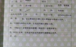 2021年林权证重新办个吗？（林权证在哪个单位办理）