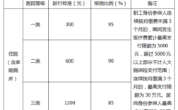 医保的统筹基金支付比例是什么意思？（统筹保险单位部分个人承担）