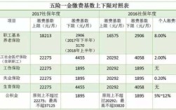 公司可以直接交五险一金吗？（单位里交五险一金）