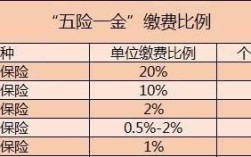 现在我自己交的两险如果单位交的话还能交五险一金吗？（到新单位可以上新的五险一金吗）