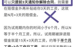 公司岗位外包被辞退怎么办？（外包被用人单位辞退）