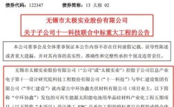 两家子公司可以投同一个标吗？要求中标单位成立分公司的文件