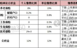 社保金的统筹部分到底怎么算？单位交的统筹都有什么意思