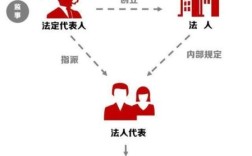 法定代表人和主要负责人区别？（法定代表人和单位负责人）