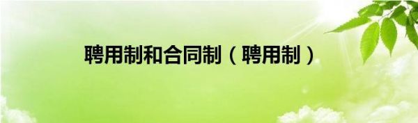 事业单位合同制和聘用制区别？事业单位合同制-图2